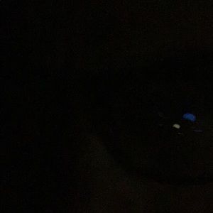 Meet your Posher, Waldo